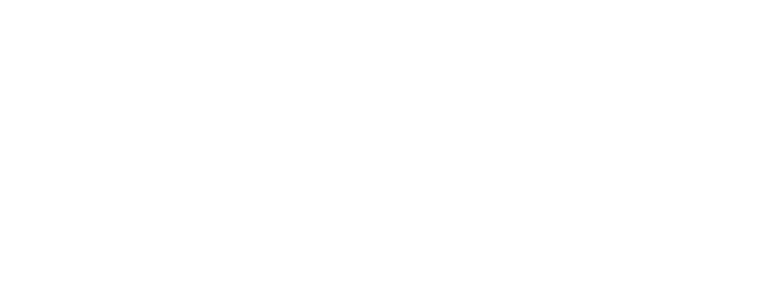 RadioLok Logo